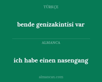 ich habe einen nasengang - bende genizakintisi var