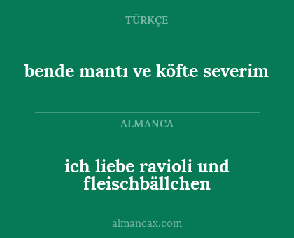 ich liebe ravioli und fleischbällchen - bende mantı ve köfte severim