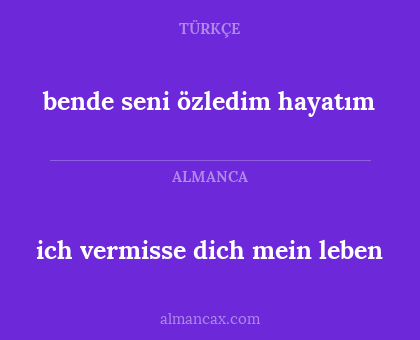 ich vermisse dich mein leben - bende seni özledim hayatım