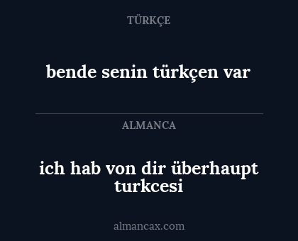 bende senin türkçen var - ich hab von dir überhaupt turkcesi