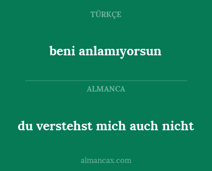 du verstehst mich auch nicht - beni anlamıyorsun