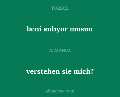 verstehen sie mich? - beni anlıyor musun