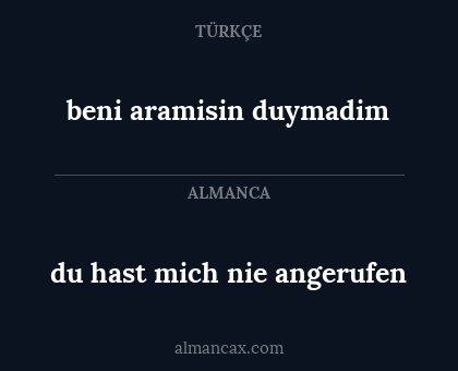 du hast mich nie angerufen - beni aramisin duymadim