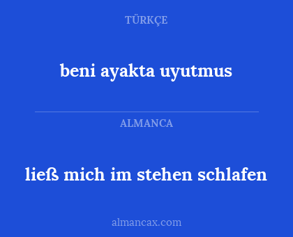beni ayakta uyutmus - ließ mich im stehen schlafen