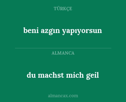 beni azgın yapıyorsun - du machst mich geil