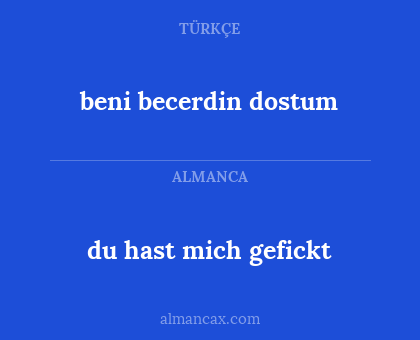 du hast mich gefickt - beni becerdin dostum