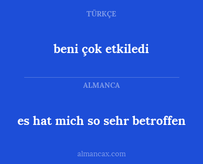 es hat mich so sehr betroffen - beni çok etkiledi