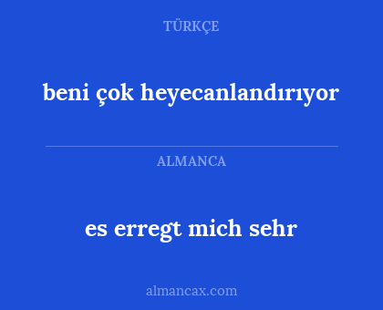 beni çok heyecanlandırıyor - es erregt mich sehr