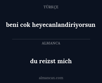 du reizst mich - beni cok heyecanlandiriyorsun