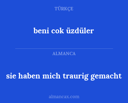 sie haben mich traurig gemacht - beni cok üzdüler
