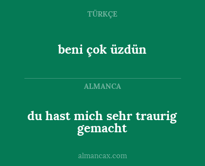 beni çok üzdün - du hast mich sehr traurig gemacht