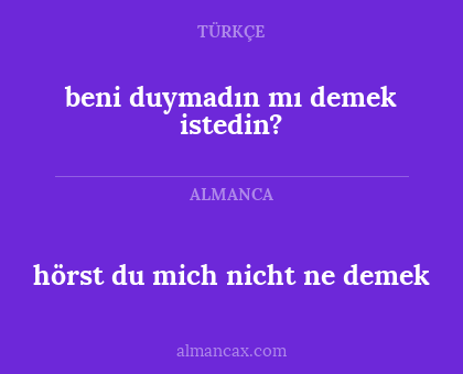 beni duymadın mı demek istedin? - hörst du mich nicht ne demek