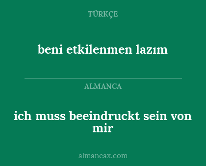 beni etkilenmen lazım - ich muss beeindruckt sein von mir