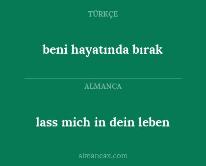 beni hayatında bırak - lass mich in dein leben