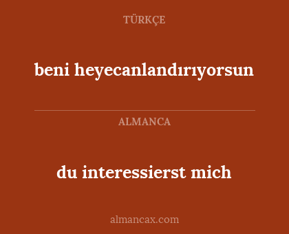 beni heyecanlandırıyorsun - du interessierst mich