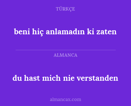 beni hiç anlamadın ki zaten - du hast mich nie verstanden