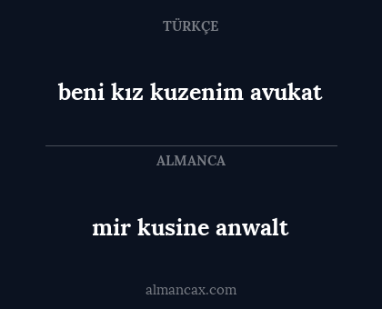 mir kusine anwalt - beni kız kuzenim avukat