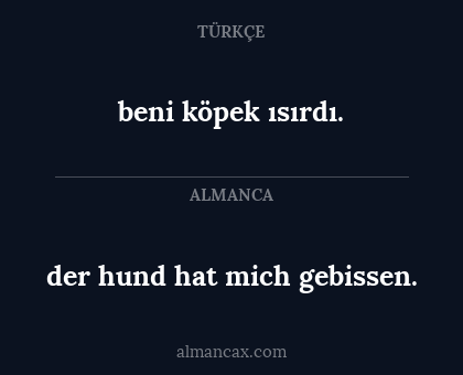 beni köpek ısırdı. - der hund hat mich gebissen.