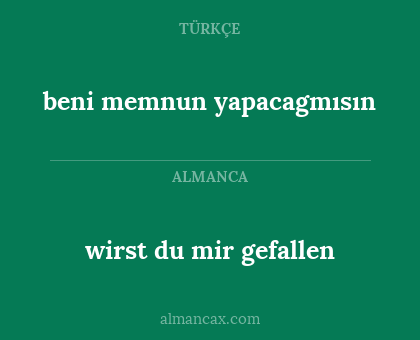 beni memnun yapacagmısın - wirst du mir gefallen