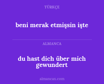 du hast dich über mich gewundert - beni merak etmişsin işte