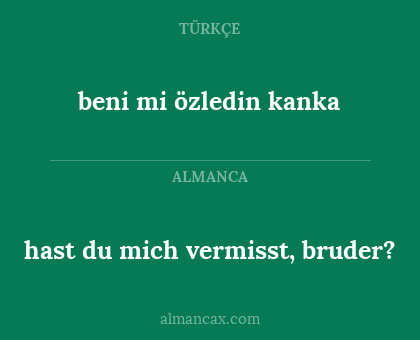 beni mi özledin kanka - hast du mich vermisst, bruder?