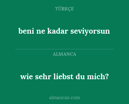 beni ne kadar seviyorsun - wie sehr liebst du mich?