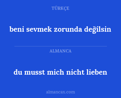 beni sevmek zorunda değilsin - du musst mich nicht lieben