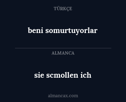 sie scmollen ich - beni somurtuyorlar
