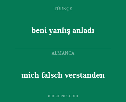 mich falsch verstanden - beni yanlış anladı