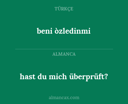 hast du mich überprüft? - beni òzledinmi