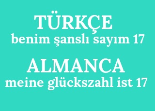 benim+%C5%9Fansl%C4%B1+say%C4%B1m+17-meine+gl%C3%BCckszahl+ist+17.png