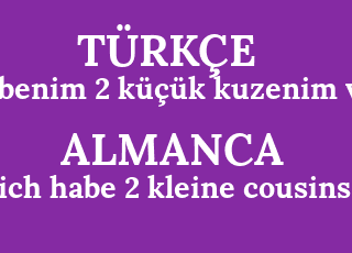 benim+2+k%C3%BC%C3%A7%C3%BCk+kuzenim+var-ich+habe+2+kleine+cousins.png