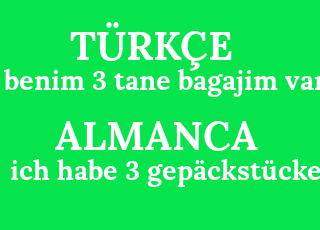benim+3+tane+bagajim+var-ich+habe+3+gep%C3%A4ckst%C3%BCcke.png