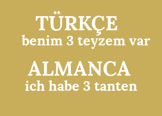 benim+3+teyzem+var-ich+habe+3+tanten.png