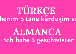 benim+5+tane+karde%C5%9Fim+var-ich+habe+5+geschwister.png