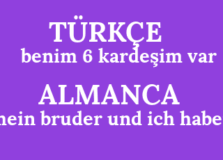 benim+6+karde%C5%9Fim+var-mein+bruder+und+ich+haben+6.png
