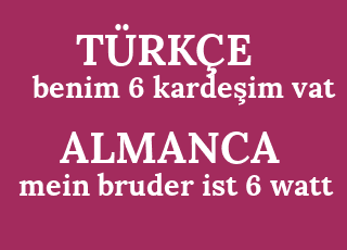 benim+6+karde%C5%9Fim+vat-mein+bruder+ist+6+watt.png