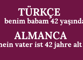 benim+babam+42+ya%C5%9F%C4%B1nda-mein+vater+ist+42+jahre+alt.png