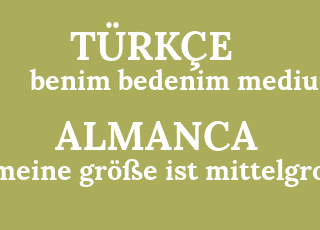 benim+bedenim+medium-meine+gr%C3%B6%C3%9Fe+ist+mittelgro%C3%9F.png
