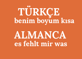 benim+boyum+k%C4%B1sa-es+fehlt+mir+was.png