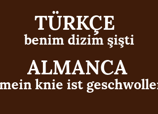 benim+dizim+%C5%9Fi%C5%9Fti-mein+knie+ist+geschwollen.png