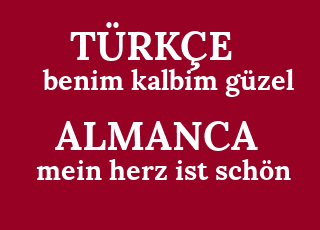 benim+kalbim+g%C3%BCzel-mein+herz+ist+sch%C3%B6n.png