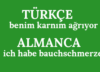 benim+karn%C4%B1m+a%C4%9Fr%C4%B1yor-ich+habe+bauchschmerzen.png