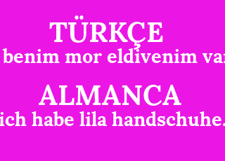 benim+mor+eldivenim+var.-ich+habe+lila+handschuhe..png