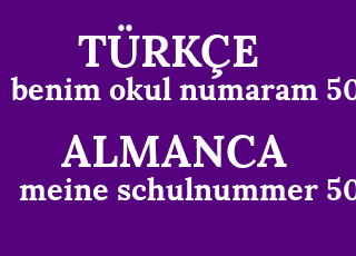 benim+okul+numaram+5028-meine+schulnummer+5028.png