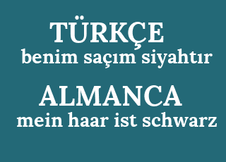 benim+sa%C3%A7%C4%B1m+siyaht%C4%B1r-mein+haar+ist+schwarz.png
