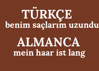 benim+sa%C3%A7lar%C4%B1m+uzundur-mein+haar+ist+lang.png