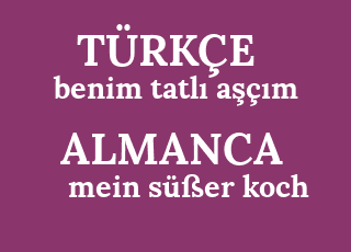 benim+tatl%C4%B1+a%C5%9F%C3%A7%C4%B1m-mein+s%C3%BC%C3%9Fer+koch.png