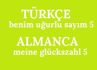 benim+u%C4%9Furlu+say%C4%B1m+5-meine+gl%C3%BCckszahl+5.png
