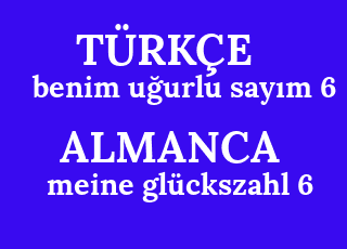 benim+u%C4%9Furlu+say%C4%B1m+6-meine+gl%C3%BCckszahl+6.png